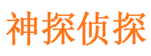 阿瓦提寻人公司